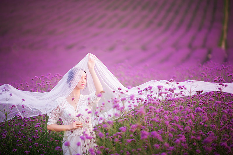 成都花海.jpg