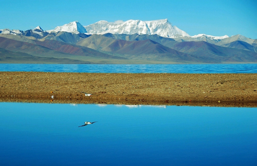 川藏线旅游