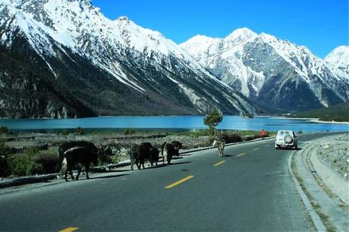 成都旅游租车