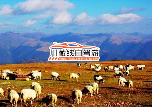 川藏线旅游