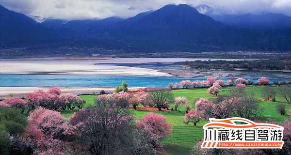 川藏线旅游感受林芝四季风采