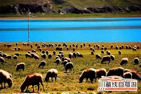 川藏线旅游