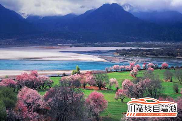 川藏线拼车