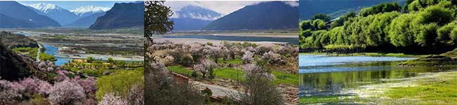 林芝桃花沟、尼洋河风光