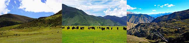 邦达草原、九十九道拐、东达山
