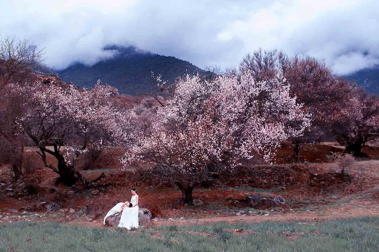 林芝桃花人像 (2).jpg