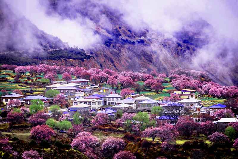 成都到林芝1.jpg