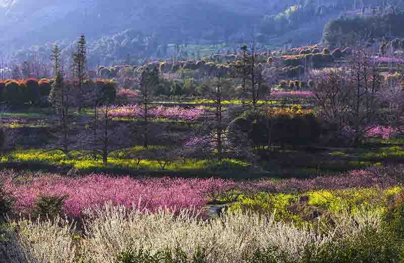 成都到林芝4.jpg