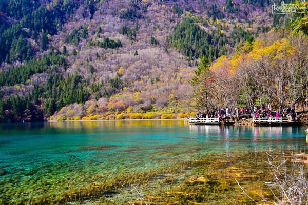 体验巴蜀美景，就选成都包车旅游