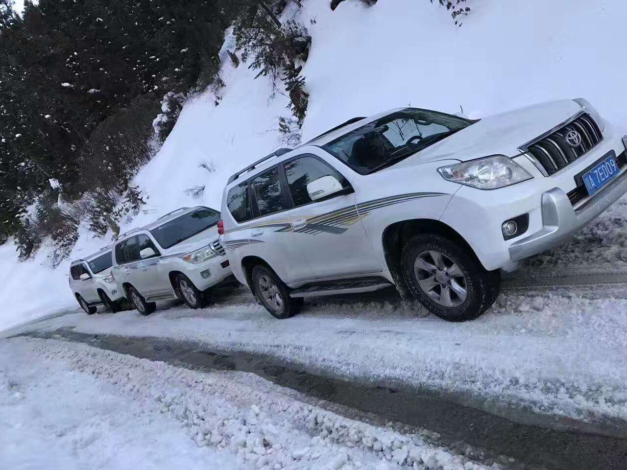 川藏线租车主要是哪些车型