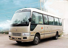 丰田考斯特豪华型